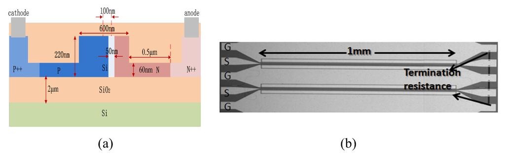Fig. 2. Schematic diagram of the device: (a) Cross-section diagram, (b) Optical micrograph of the modulator with a CPW electrode. The measurement setup for the BPSK modulation is shown in Fig. 3.
