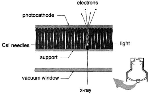1. Input Screen The input screen of the II consists of 4 different layers: (d) photocathode is a thin layer of antimony and alkali metals that emits electrons when struck by visible