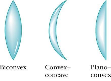 sphere or a plane Lenses are commonly used to form images by refraction in optical instruments Thin Lens Shapes These are examples of converging lenses They have positive focal lengths