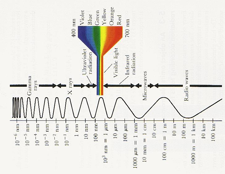 Electromagnetic Spectrum CSCU9N5: Multimedia and HCI 3 Why/How do we perceive colours?