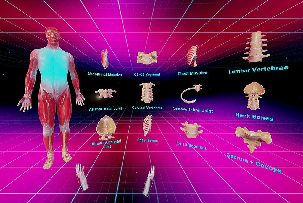 Education With Virtual Reality Students of all ages attempt to understand the beautiful complexity of the human body, a quite tedious and daunting task.