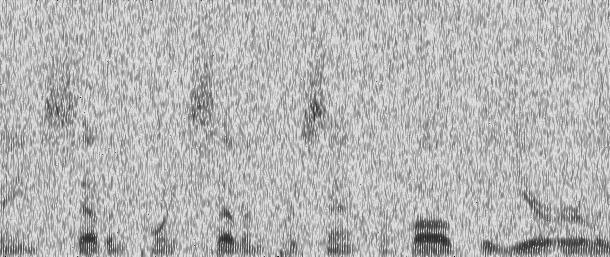 spectrograms of processed speech using the online PPDN explained in this section. As seen in 5(b), for additive Gaussian white noise, improvement is observable even at -db SNR.