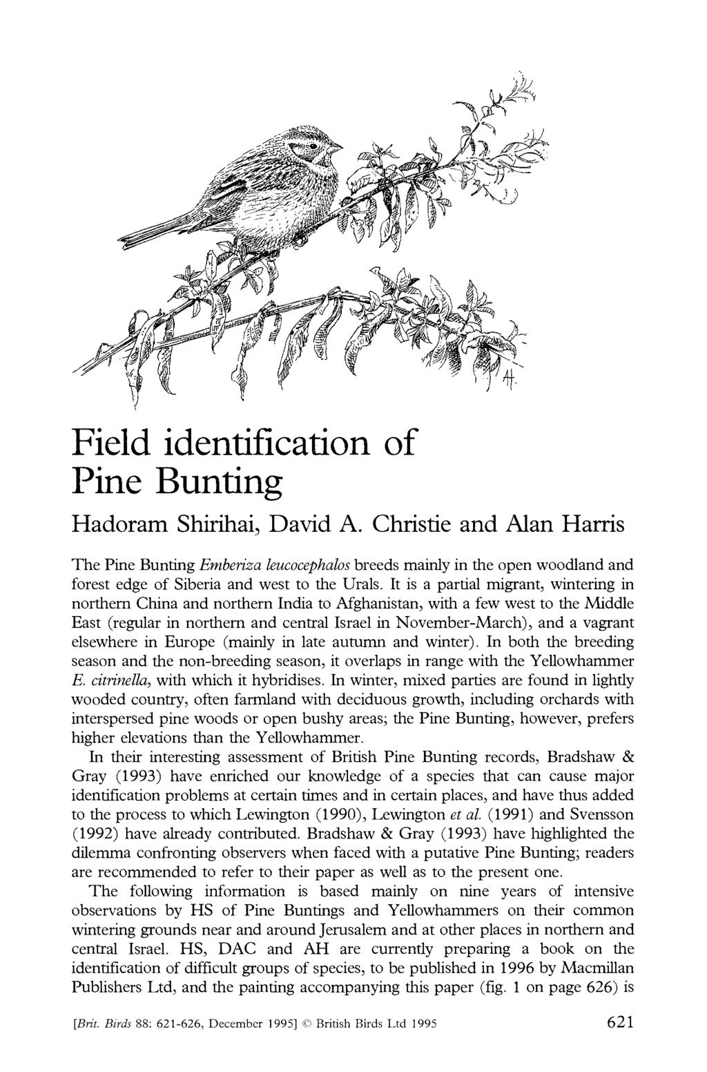Field identification of Pine Bunting Hadoram Shirihai, David A.
