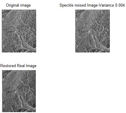 Applications: Reduction of Speckle Noise