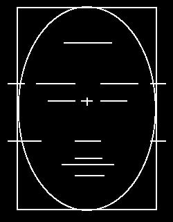 Project: Draw a self portrait Begin with a 8 x 12 rectangle Draw an oval with simple light lines where