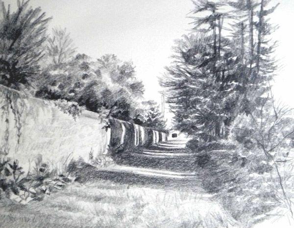 Exercise Three Tonal Values in the Landscape Graphite Image of graphite video This is a module which looks at the benefits of graphite sticks as a fabulous medium for capturing the beauty of the