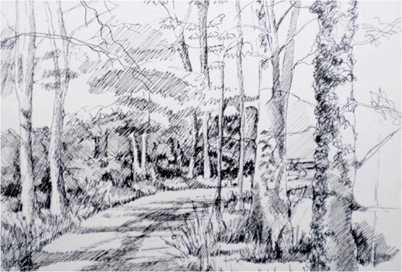 Exercise Seven Sketching and Tonal Values Video Tonal Values and Sketching This video training shows work in pen and pencil that give two different effects in sketching.
