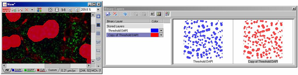 First the image is thresholded in the blue channel. Above, two copies of the same threshold are stored in the Binary Layers dialog box.