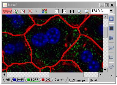 From the Binary Layers dialog box, the cell boundary layer is again selected (red). All other layers are deselected.