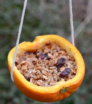 Biodegradable bird feeder Make your very own bird food using food waste you Half an orange rind, coconut shell or half a tennis ball String Lard or suet A mix of food materials such as raisins,