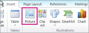 Inserarea imaginilor Imaginile pot fi inserate (sau copiate) în documentele Office de pe computer sau din mediul online.