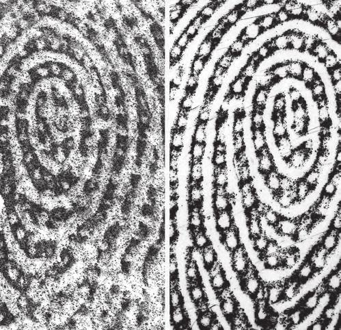 Any non-u.s. citizen entering the United States through a major airport has an electronic photo of his or her fingerprints entered into the IAFIS database. Figure -.