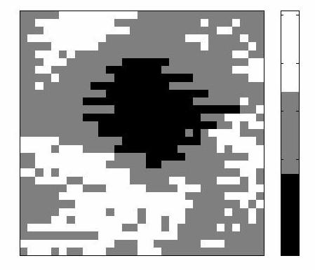 These features are then classified into three groups by Ward algorithm for generation of C-scan images. Locations belonging to the same group are assigned same grey shades to generate the image.
