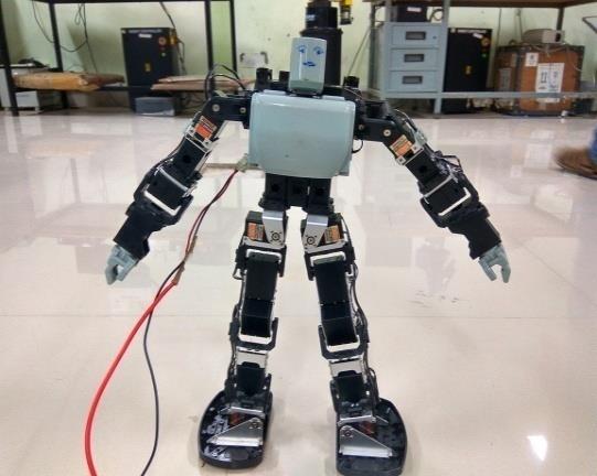 humanoid robot etc.