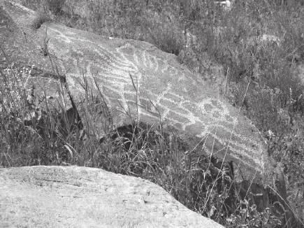 Utah Rock Art, Volume XXV, 2008 this area, and the places that contain these boulders are not likely places that one would use in hunting, so I don t believe that this type of rock art was used as an