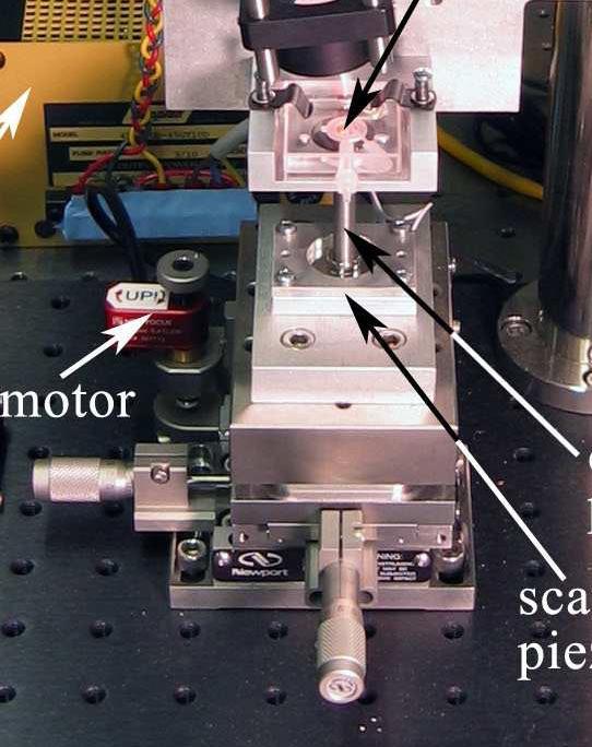 Sample Positioning System X-Y-Z stage for coarse movement Micrometer driven X-Y Motorized Z Motor
