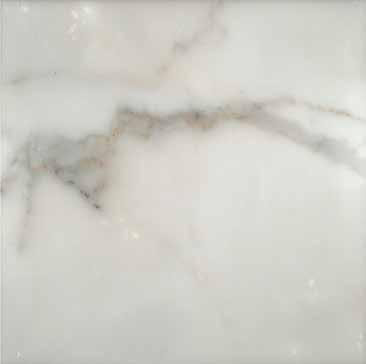 MARBLE Calacatta Gold - Carrara White