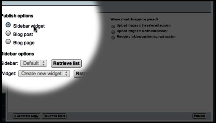 Select Publishing Option Select a publishing option - in this case we want to use the