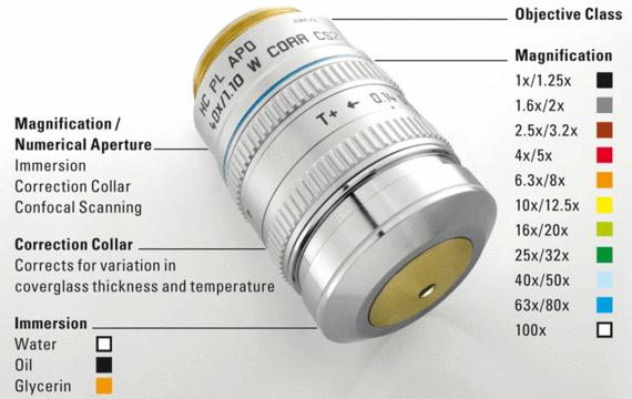 5 coverslip) Light Source & Filter Sets Prior Lumen 200 Pro 200 watt metal halide lamp Camera Label Excitation Dichroic Emission QD 360 (1) 350/50 (2)