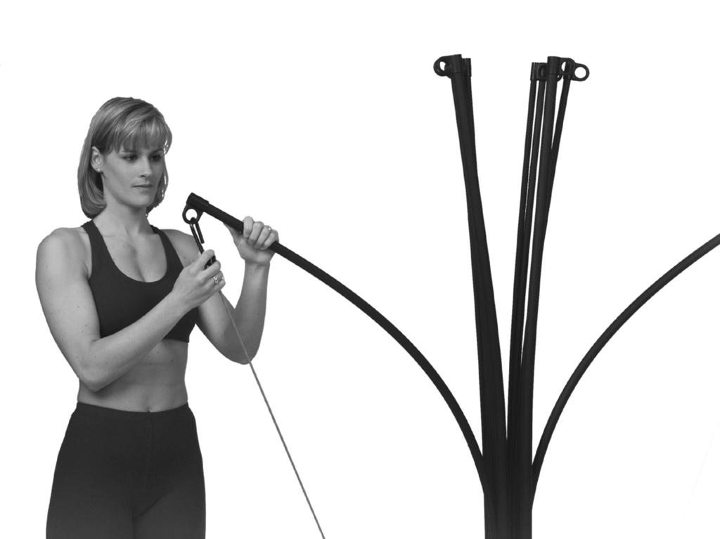 How to Use Your Machine Adjusting and Understanding the Resistance Rods The standard Schwinn Force TM home gym comes with 210 pounds of resistance (one pair of 5 pound rods, two