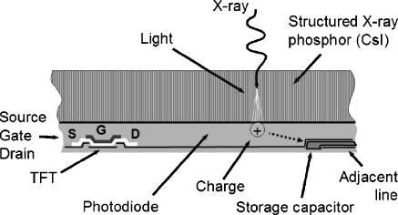 the conversion of X-rays first into light, traveling through the structured phosphor to a