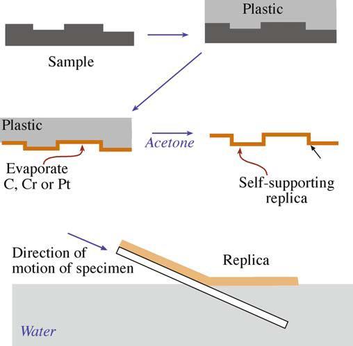 Replication of a surface 1) Spray acetone on the surface to be replicated before pressing a plastic (usually cellulose acetate) 2) Removed the plastic from the