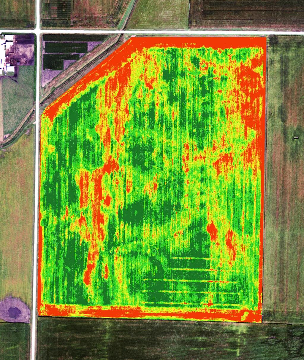Monitoring Integration of GPS with sprayer can create a weed map.