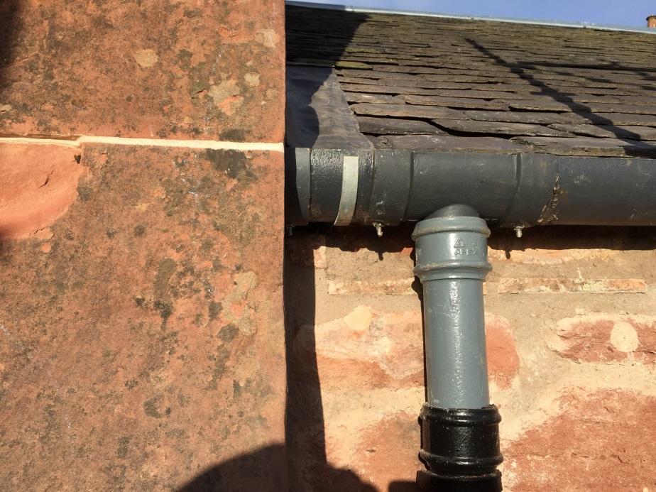 Conservation and Concern for Swifts Scotland who have kindly permitted use of their