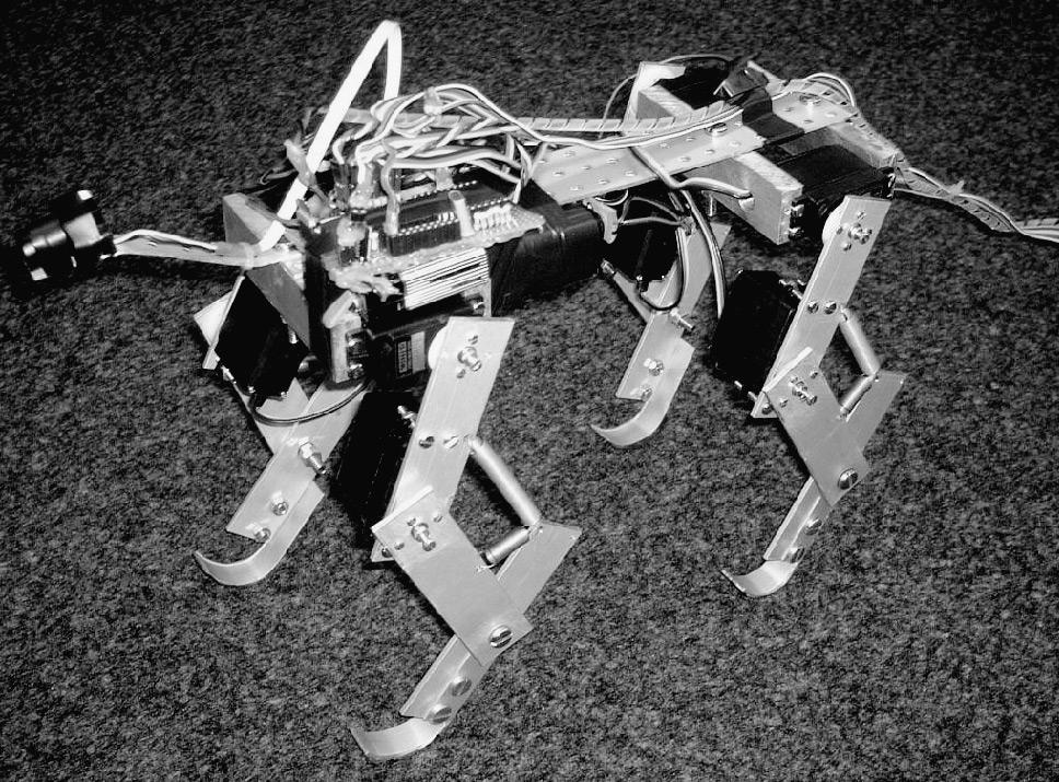 The design of Puppy was inspired by biomechanical studies. Each leg has two standard servomotors and one springy passive joint. It carries eight motors, batteries, and a microcontroller.