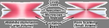 Anita Hsu Confocal Microscopy Optical path of a high-end laser scanning