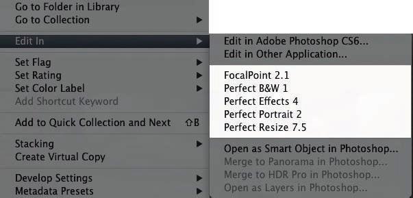 Introduction 15 You can also access modules as external editors for all modules except Perfect Layers or Perfect Mask. You can access them from the Edit In contextual menu.