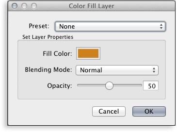 However by changing the color, blending mode, and opacity along with Perfect Layer's masking tools you can do the following: Create a burn or dodge layer to selectively lighten or darken the image.