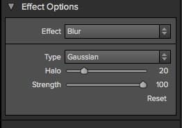 Some of the effects in the Library are complex factory effects that use multiple filters simultaneously. When you select one of these, the Effect Options will display Custom.