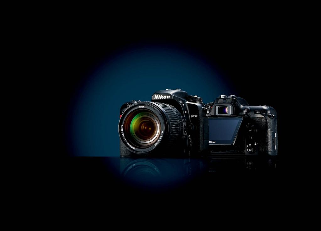 Lens: AF-S DX NIKKOR 18-140mm f/3.5-5.6g ED VR Exposure: [P] mode, 1/15 second, f/4.8 White balance: Auto 1 Sensitivity: ISO 400 Picture Control: Auto Scott A.
