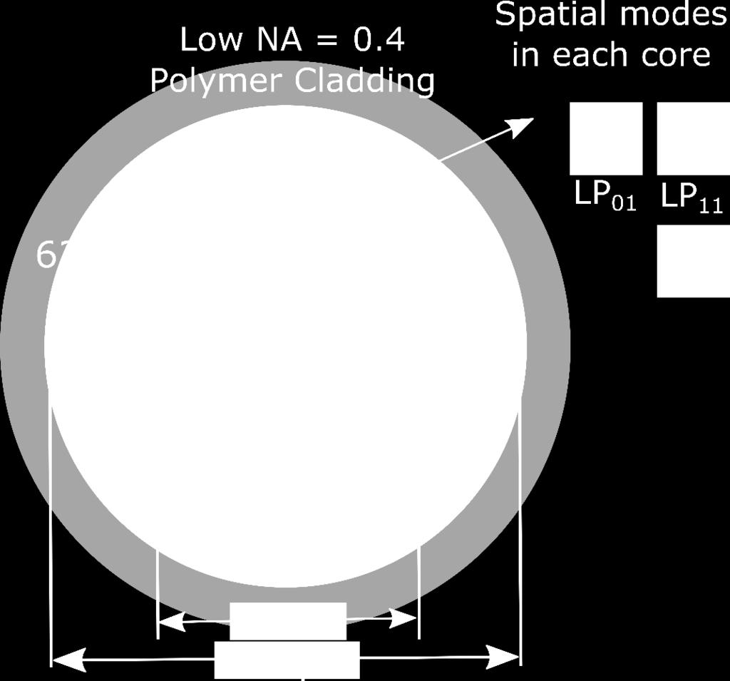 Ring-Clad 170 µm NA Core 0.104 NA Inner-Clad 0.