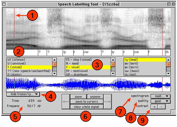 Narrow, medium and broadband spectrographic displays are supported, as is playback of signal segments. A hierarchical transcription browser is incorporated.