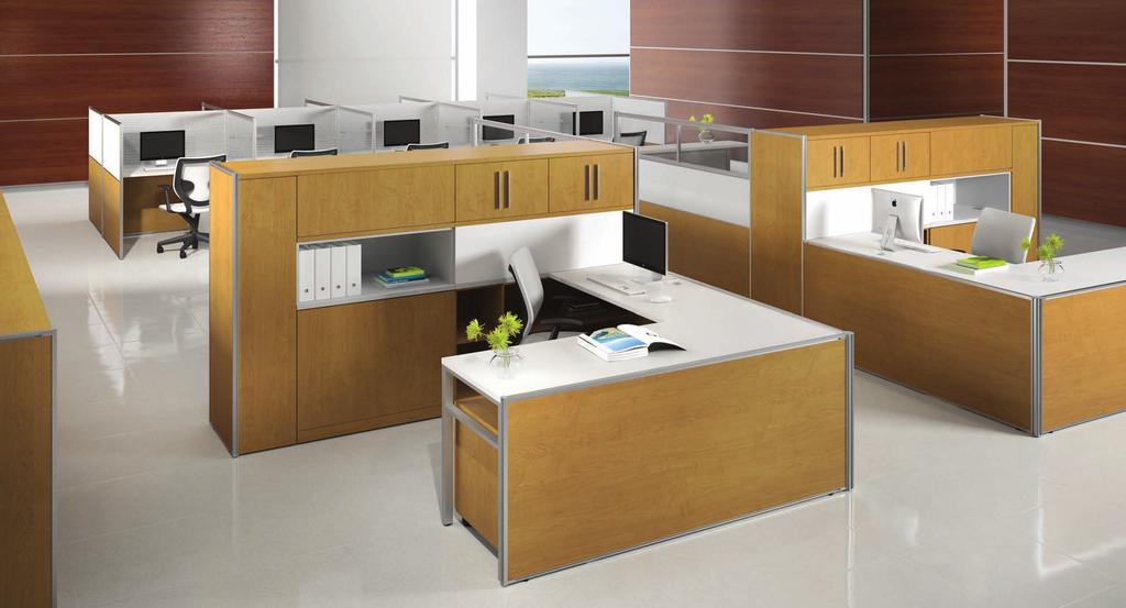 SHARED STORAGE Designed to be as beautiful as it is functional, shared storage cabinets define the space from the level of functionality to the degree of privacy.