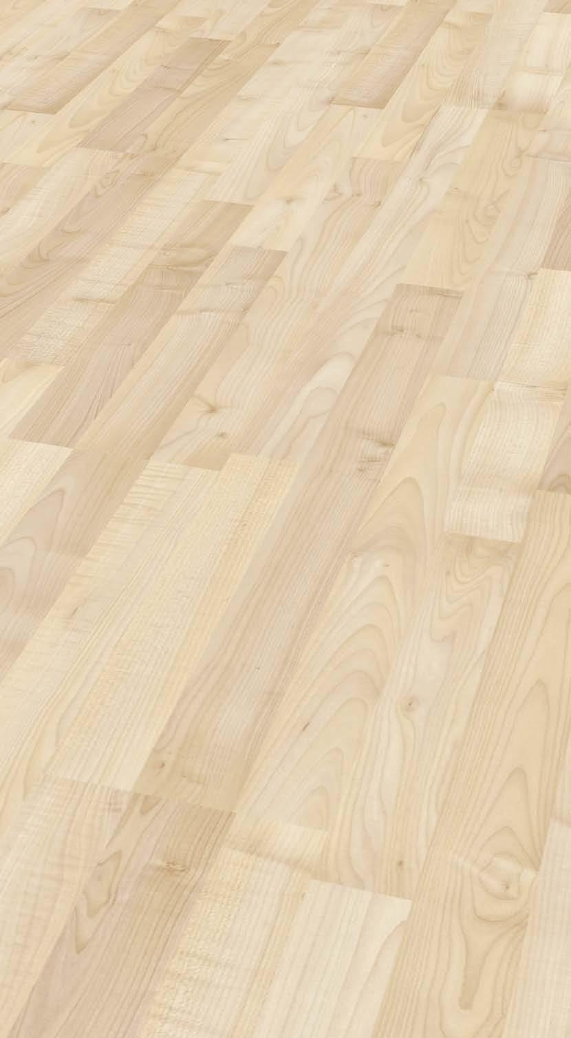 Maple studio 3-Strip wood pore