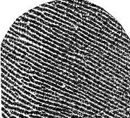 5. Fingerprint Properness Analysis Fingerprint
