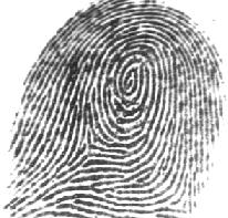 5. Fingerprint Properness Analysis 4) distortion?