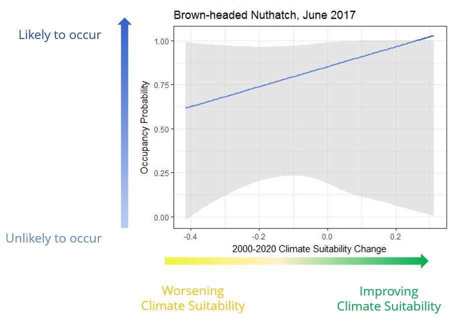 Brown-headed Nuthatch Summer In summer 2017, Brown-headed Nuthatches were more likely to occur in areas becoming more suitable into the future.