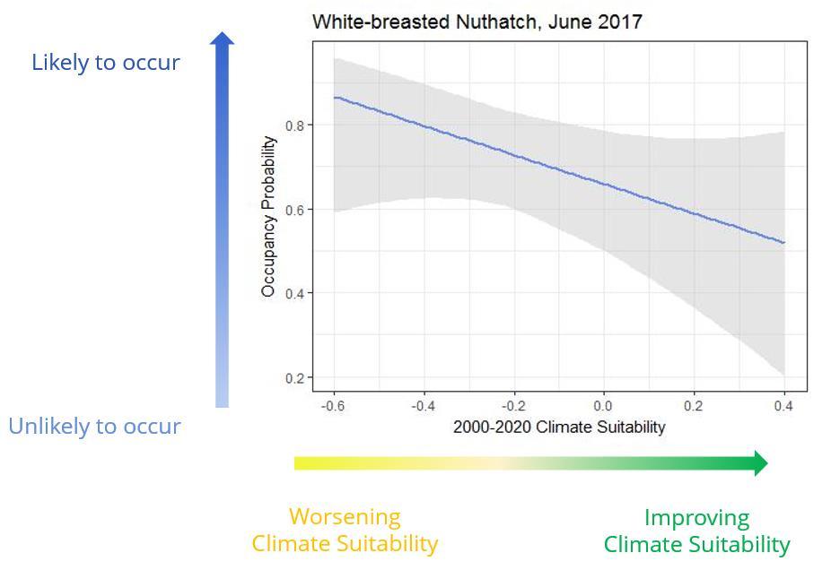 White-breasted Nuthatch Summer In summer 2017, White-breasted Nuthatch was more likely to occur in areas that are worsening in climate suitability.