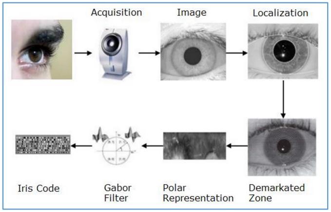 Iris Recognition Iris Recognition advantages very accurate chance that two irises match is 1 in 10 billion people iris rarely changes over lifespan verification is fast disadvantages equipment is