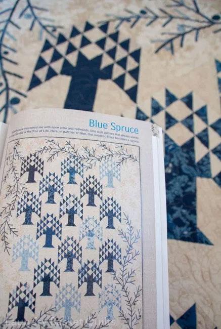 You will. nd this pattern on page 93 in our Patches of Blue book.
