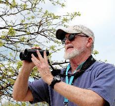 Self-Guided Birding at the Indiana Dunes Birding Festival The Indiana Dunes is a birder s paradise.