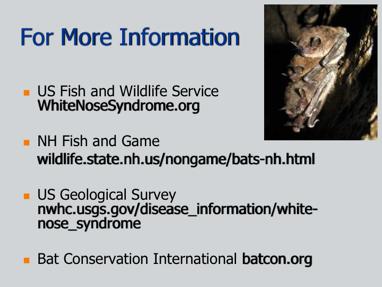 There are constant updates about the conservation issues related to bats on the US Fish and Wildlife Service website. You can find all these websites linked to the NH Fish and Game website at www.
