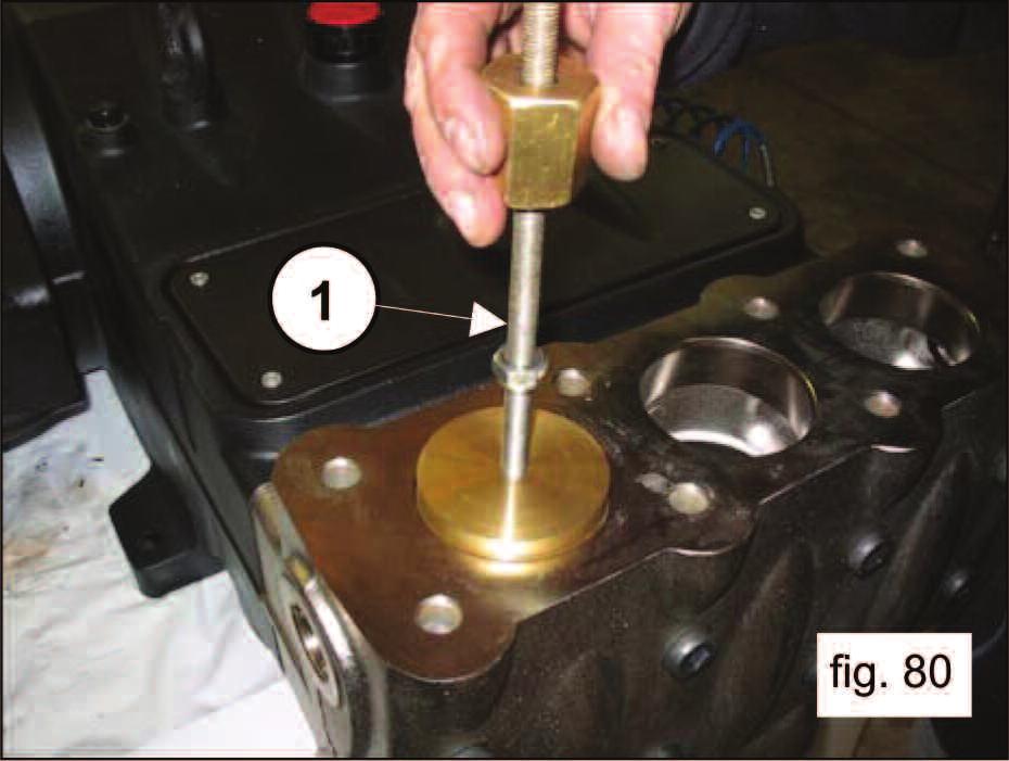 To extract the valve units operate as follows: Unfasten the 8 M16 x 55 screws of the valve cover (1, fig.