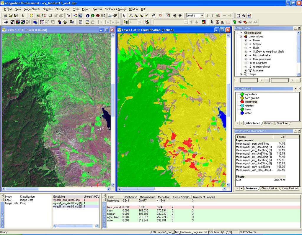 Figure 3. Definiens Imaging s ecognition software interface. Procedures The approach taken for the stand delineation was to first classify vegetation types very generally based on small image objects.