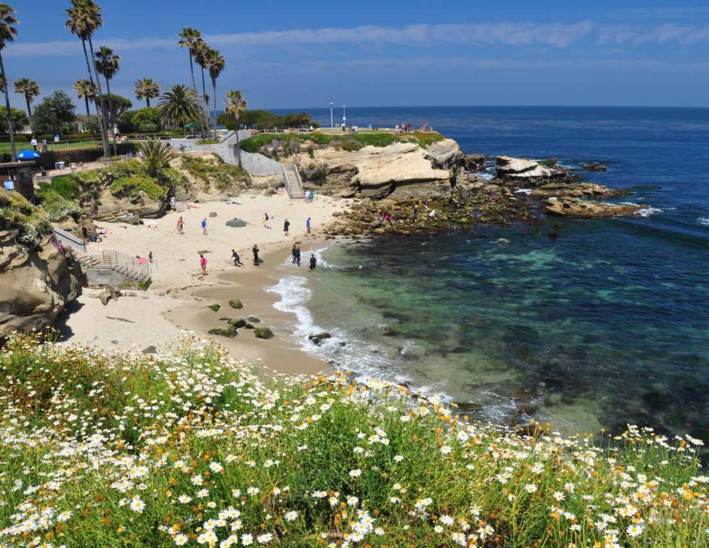 La Jolla, Spanish for the jewel, is a quaint but affluent town where Chanel clad ladies panning for gems coexist with college kids eating frozen yogurt, and where hang gliders and surf bums frequent