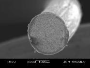 Figure 4 SEM images of hydrothermally synthesized PZT poly-crystalline film on the end surface of titanium wire with diameter of 0.